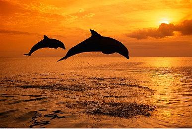 策略塔防游戏《恒星守望》上线Steam商城并推出试玩Demo